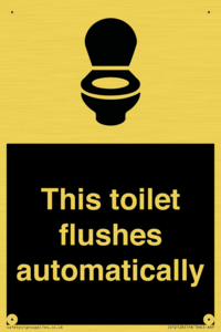 This toilet flushes automatically